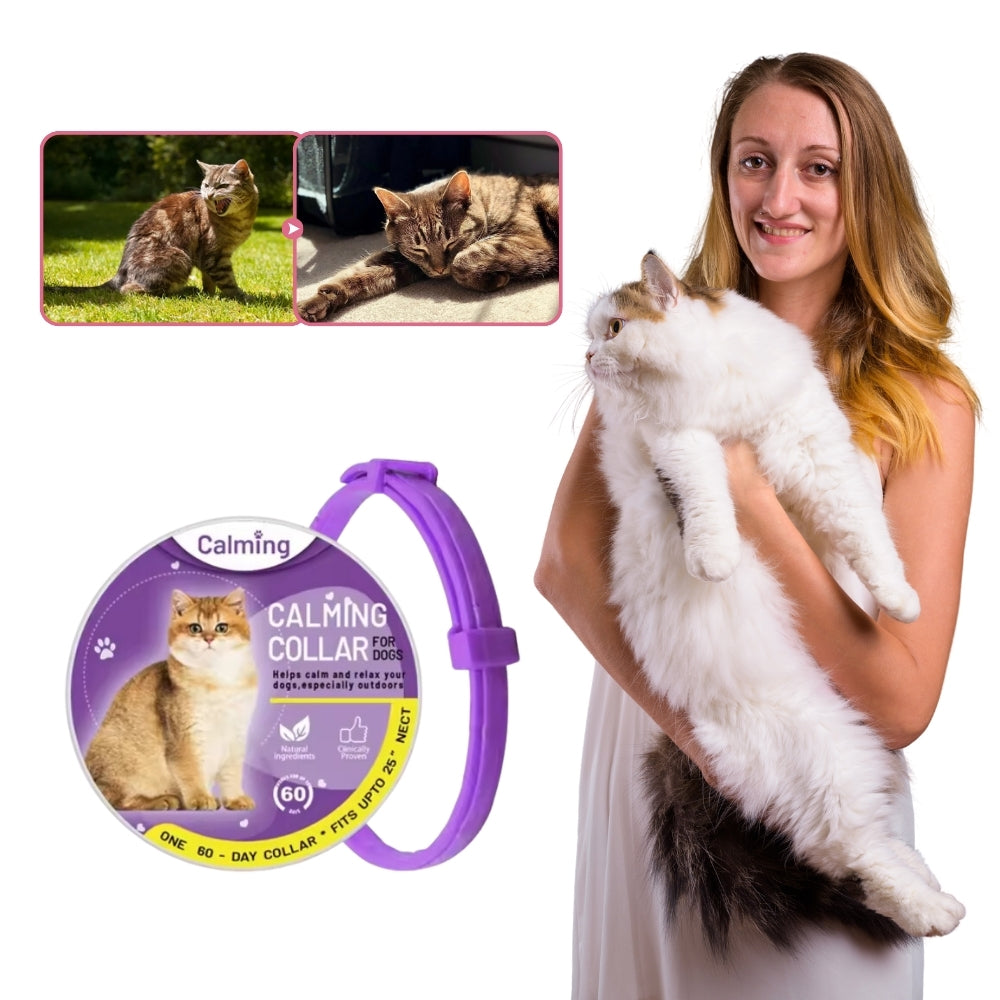 CatZen® | Een Natuurlijke Manier om Uw Kat te Kalmeren