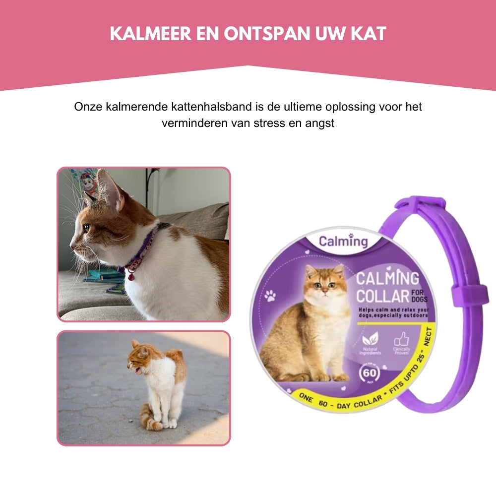 CatZen® | Een Natuurlijke Manier om Uw Kat te Kalmeren