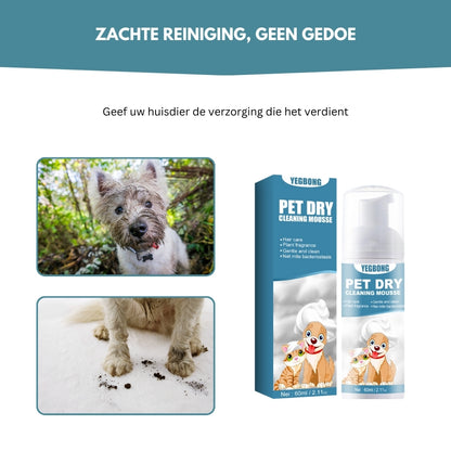 EasyPaws® | Een Gemakkelijke Manier om Uw Hond Schoon en Fris te Houden