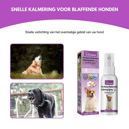 CalmPaw® | Natuurlijke Ondersteuning voor een Rustige Hond