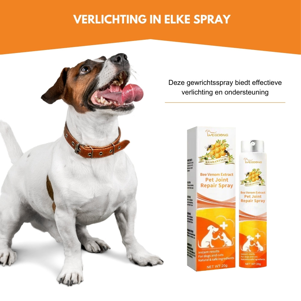 FlexiVet® | Bijengif Ondersteuning voor Gezonde Gewrichten en Mobiliteit van Uw Hond