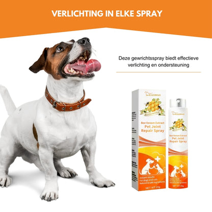 FlexiVet® | Bijengif Ondersteuning voor Gezonde Gewrichten en Mobiliteit van Uw Hond