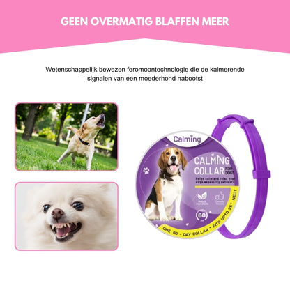 BarkOff® | Een Kalmerende Halsband voor Minder Blaffen