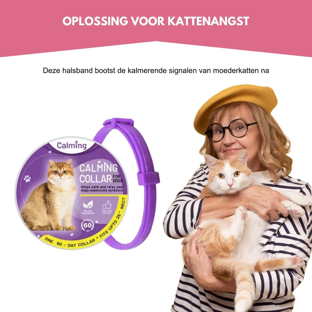 CatZen® | Een Natuurlijke Manier om Uw Kat te Kalmeren