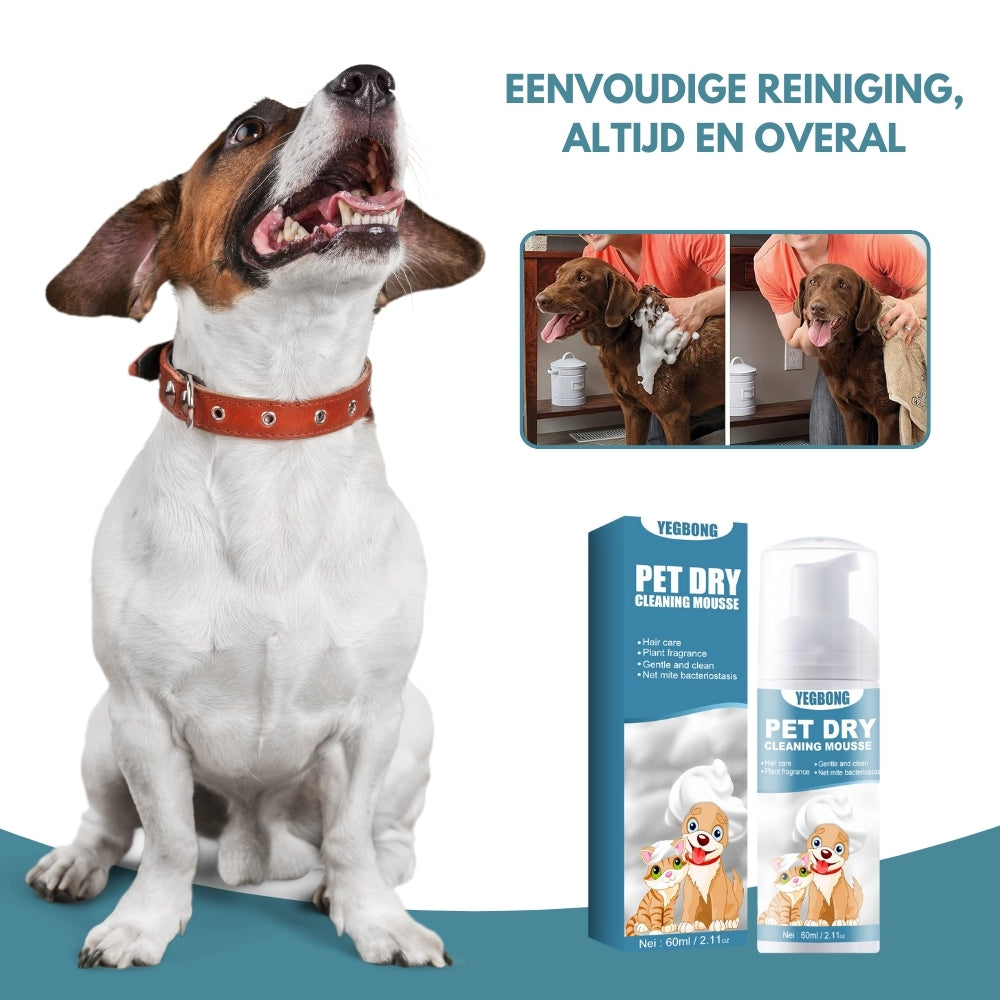 EasyPaws® | Een Gemakkelijke Manier om Uw Hond Schoon en Fris te Houden