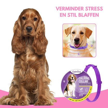 BarkOff® | Een Kalmerende Halsband voor Minder Blaffen