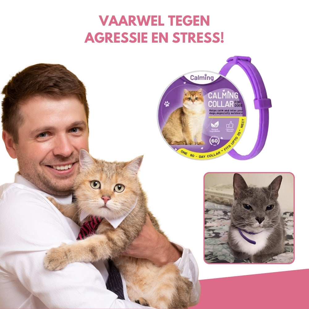 CatZen® | Een Natuurlijke Manier om Uw Kat te Kalmeren