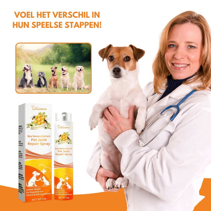 FlexiVet® | Bijengif Ondersteuning voor Gezonde Gewrichten en Mobiliteit van Uw Hond